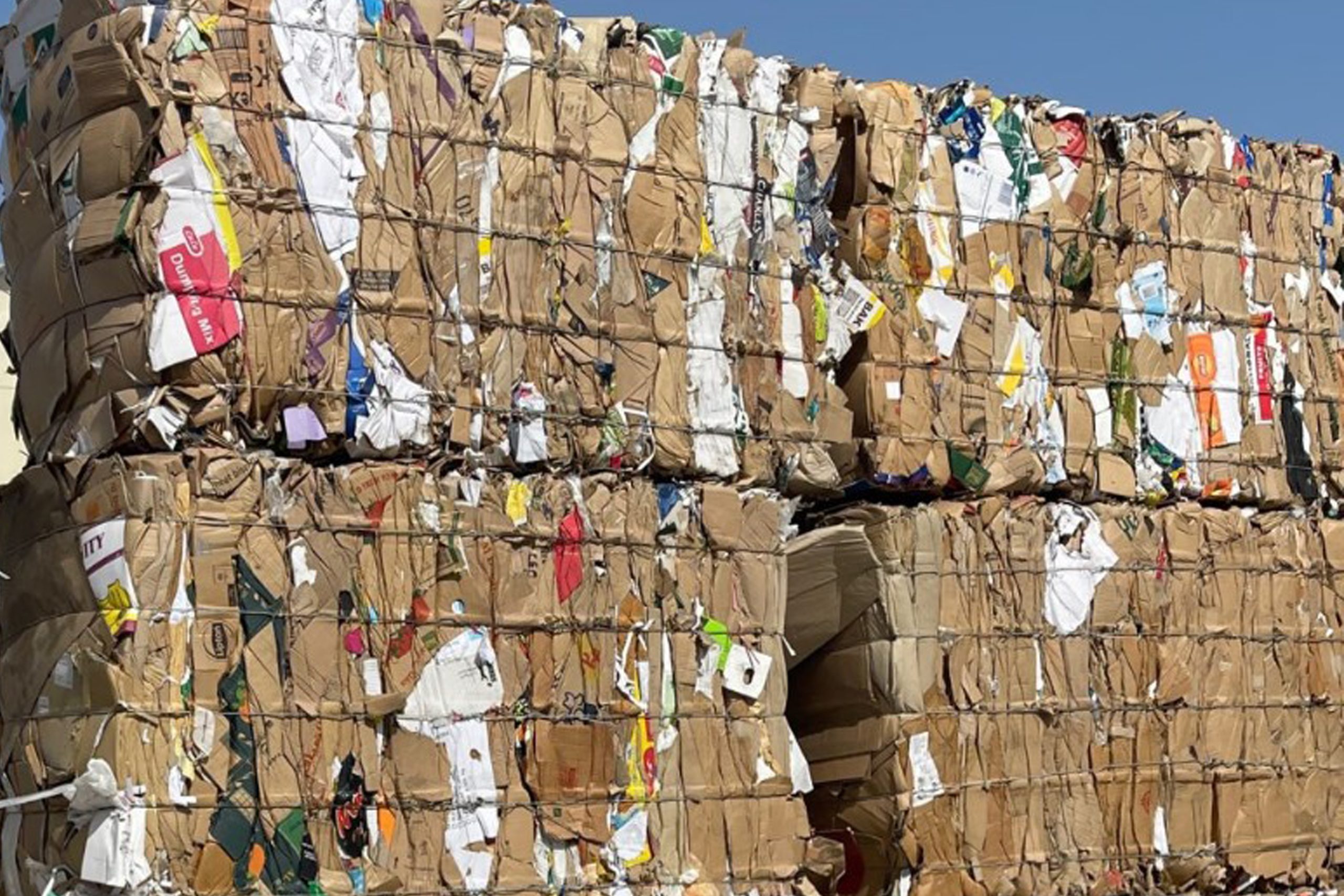 Waste Free July: Who produces the most paper waste?
